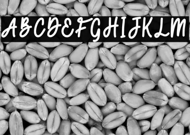 Secret Admirer Script Font examples