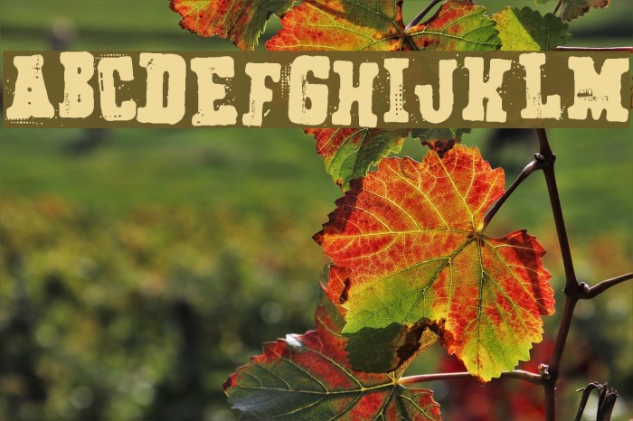 Secret Agency Example 3