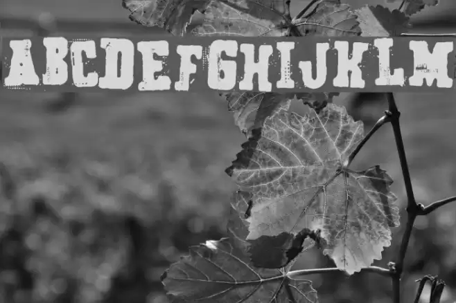 Secret Agency Font examples