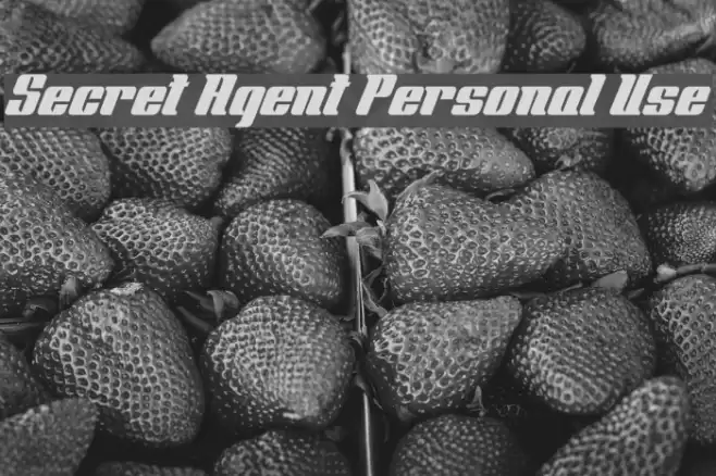 Secret Agent Personal Use Font examples