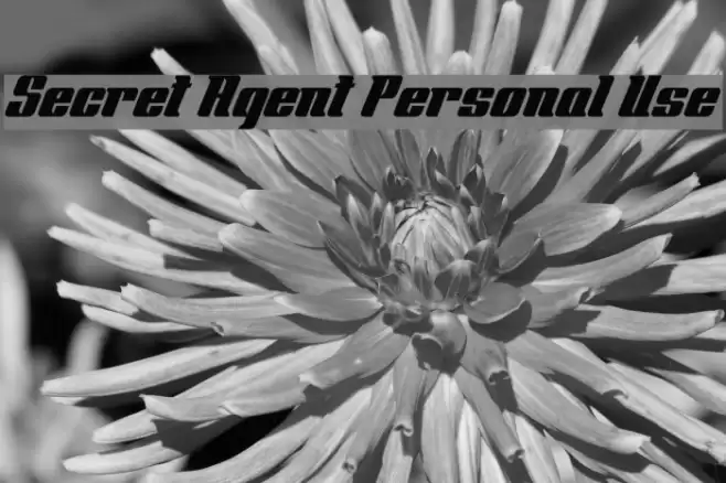 Secret Agent Personal Use Font examples