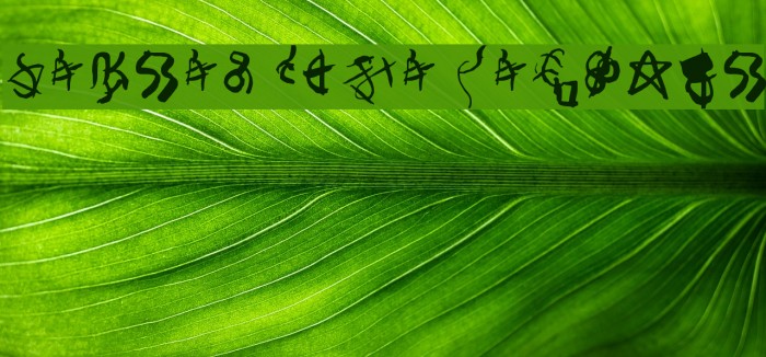 Secret Code Regular Font examples