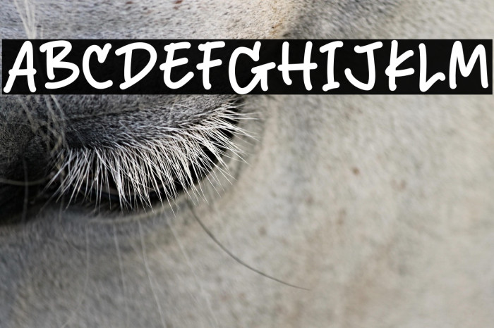 Secret Crush Schriftart examples