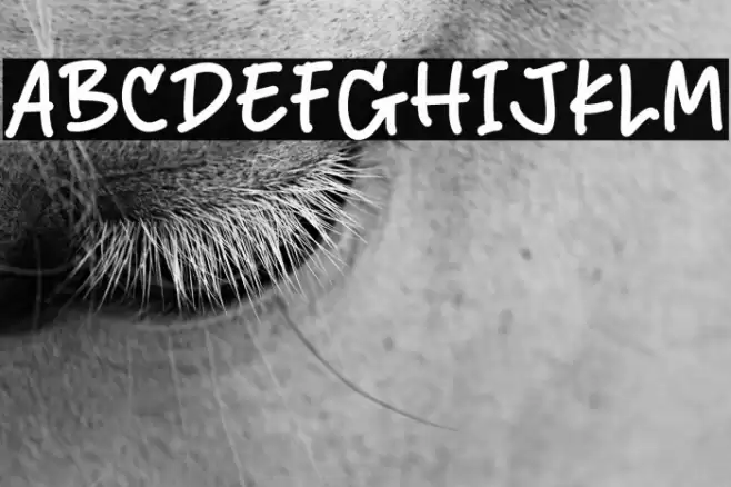 Secret Crush  examples