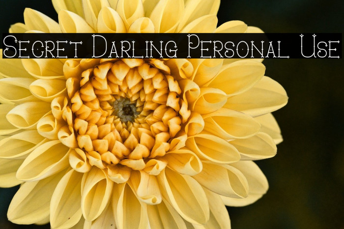 Secret Darling Personal Use Example 1