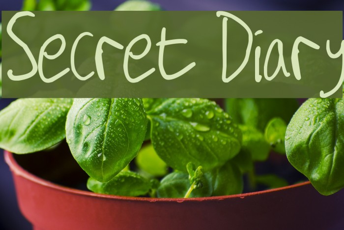 Secret Diary Font examples