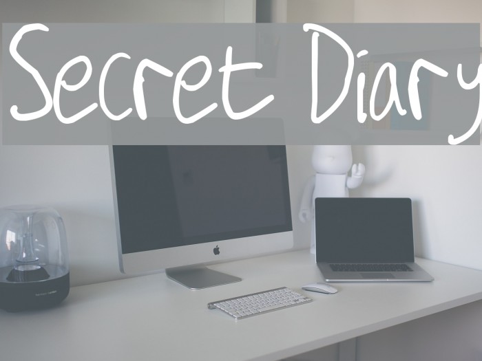 Secret Diary Font examples