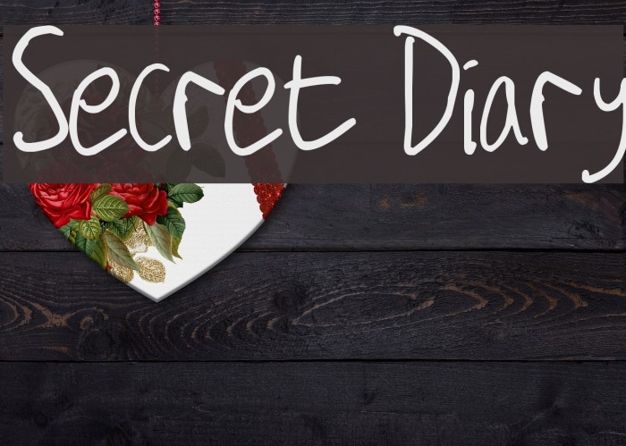Secret Diary Font examples
