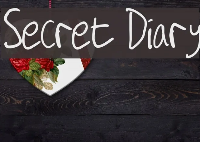 Secret Diary Example 3