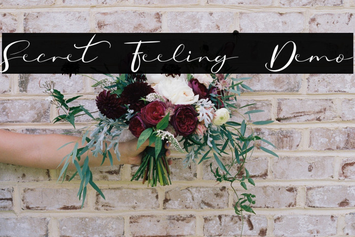 Secret Feeling Demo Example 3