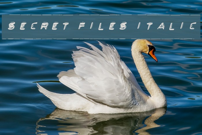 Secret Files Italic Example 2