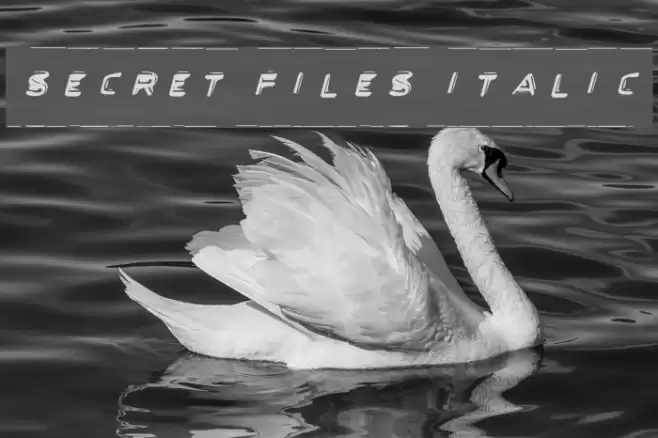 Secret Files Italic Font examples