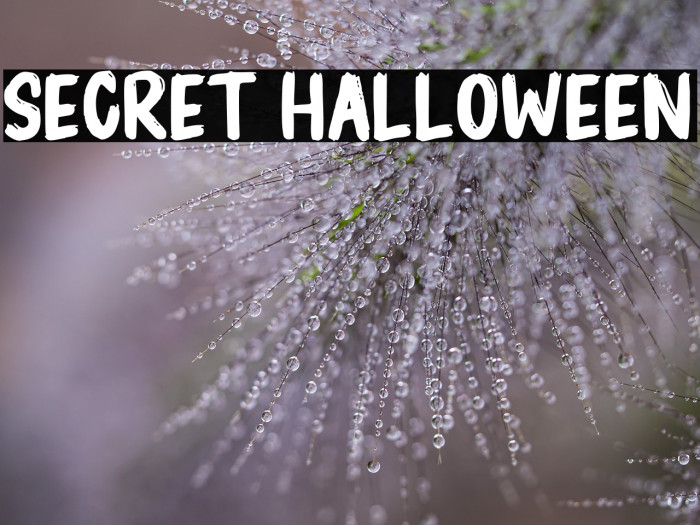 Secret Halloween Example 1