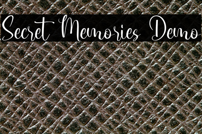 Secret Memories Demo Example 1