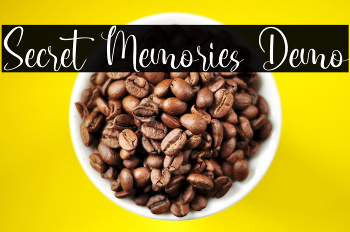 Secret Memories Demo Example 2