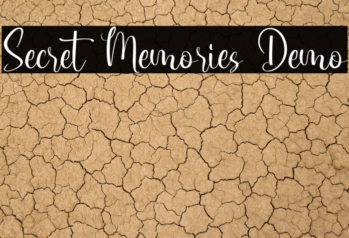 Secret Memories Demo Example 3