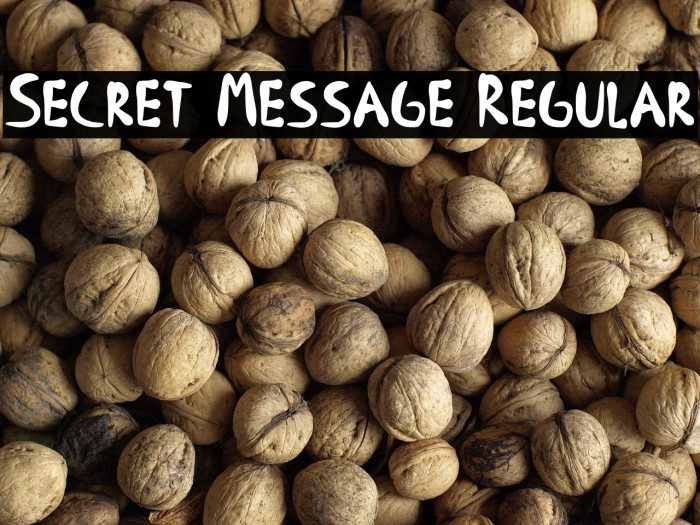 Secret Message Regular Example 1