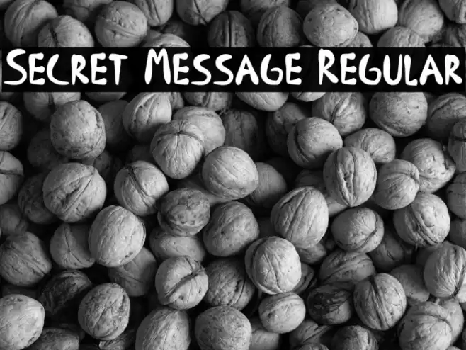 Secret Message Regular Font examples