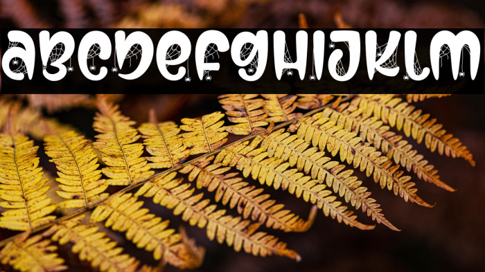 Secret Midnight Example 1