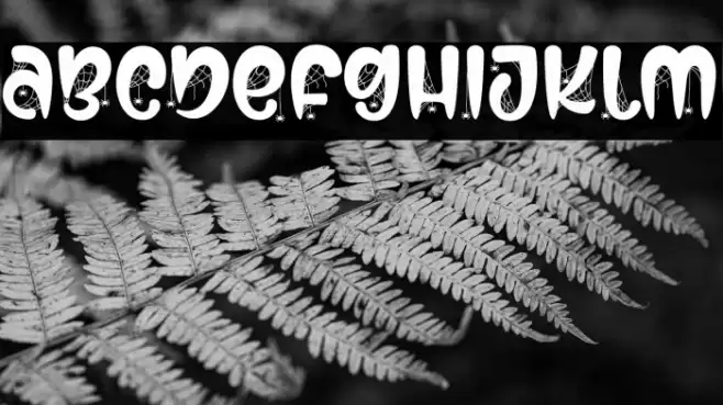 Secret Midnight Font examples