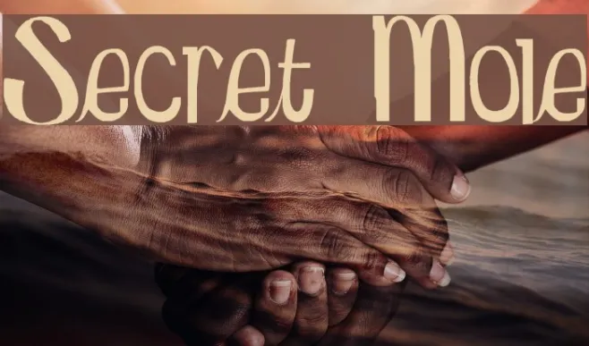 Secret Mole Example 1