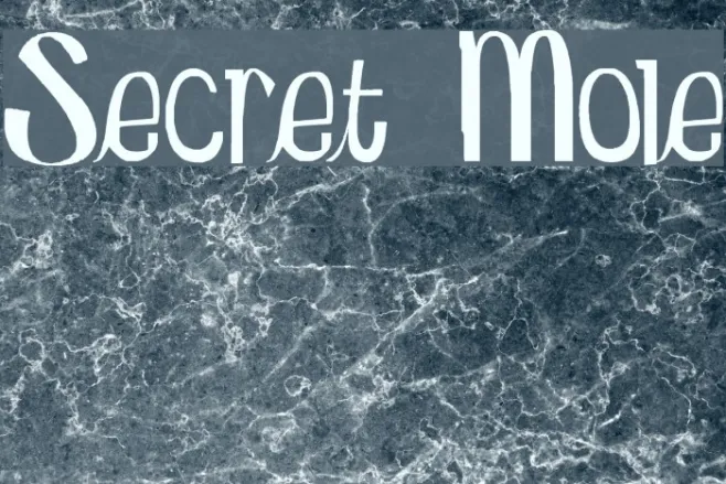 Secret Mole Example 2