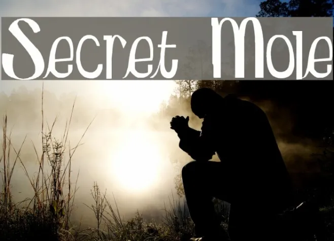 Secret Mole Example 3