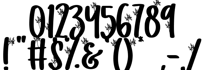 Secret Nature Font OTHER CHARS