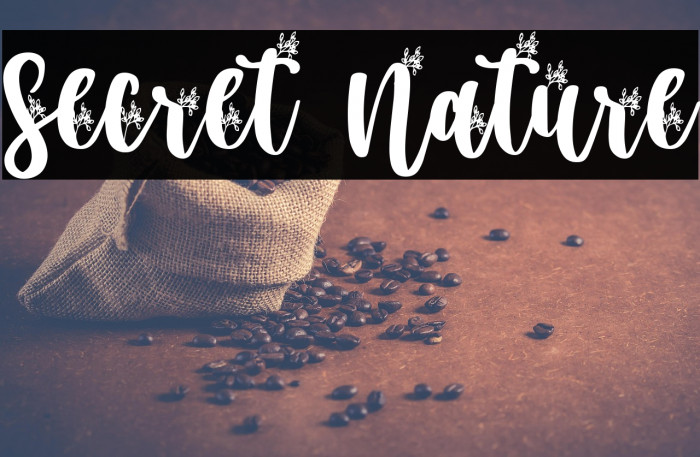 Secret Nature Example 1