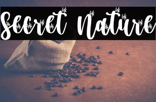 Secret Nature Example 1