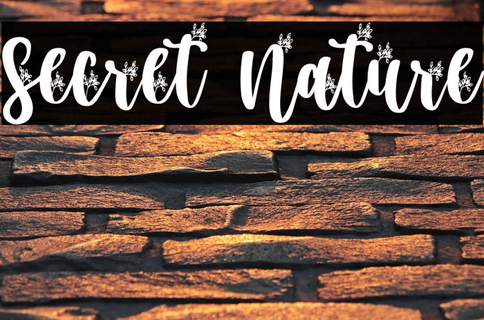 Secret Nature Example 2