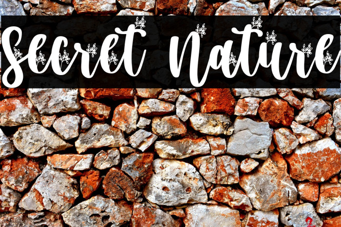 Secret Nature Example 3