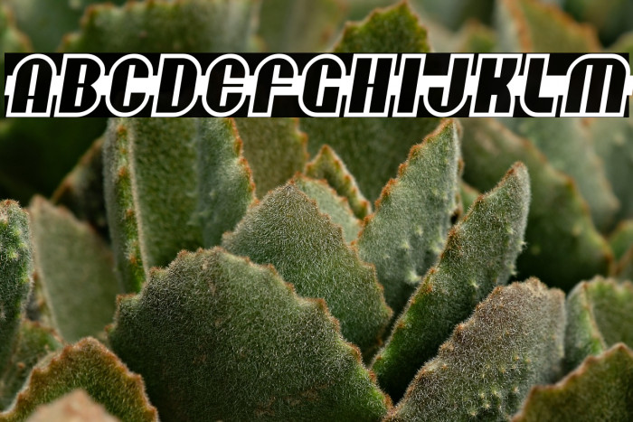 Secret Planet Example 2