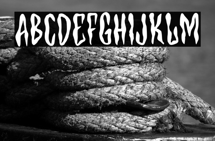 Secret Ring Personal Use Example 3