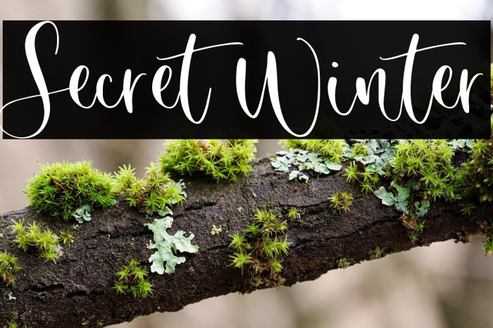 Secret Winter Example 1