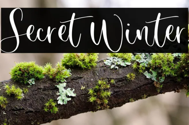 Secret Winter Example 1