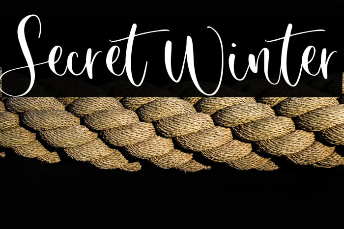 Secret Winter Example 2