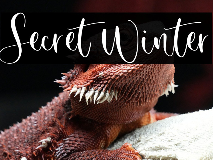 Secret Winter Example 3