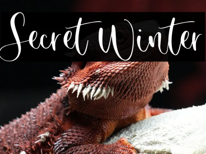 Secret Winter Example 3