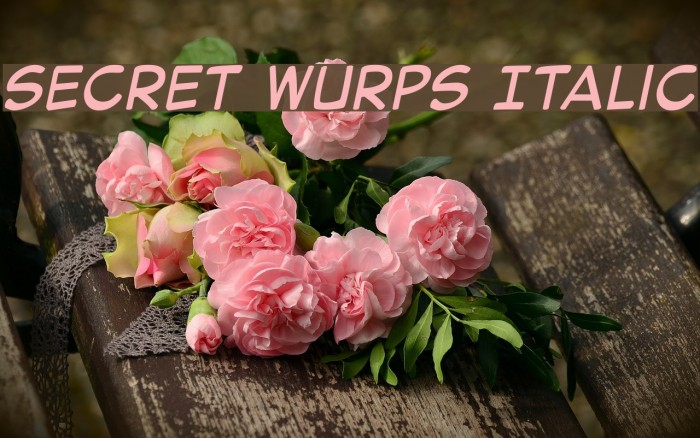 Secret Wurps Italic Font examples