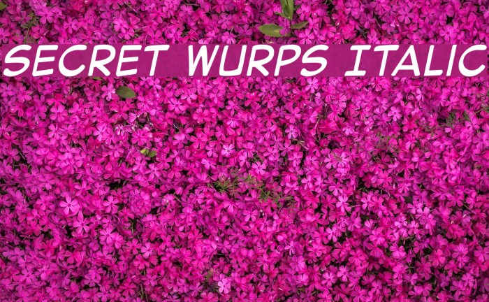 Secret Wurps Italic Font examples