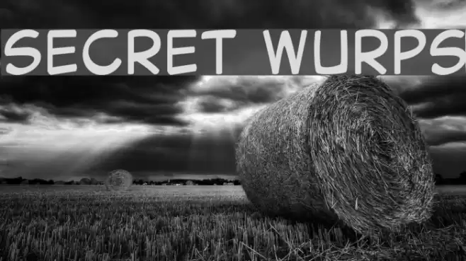 Secret Wurps Font examples
