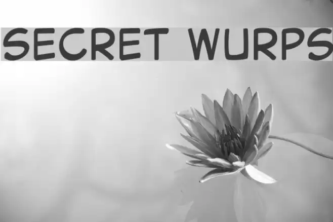 Secret Wurps Font examples