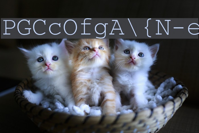 SecretCode-Normal Font examples