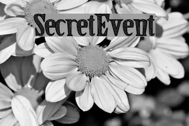 SecretEvent Font examples