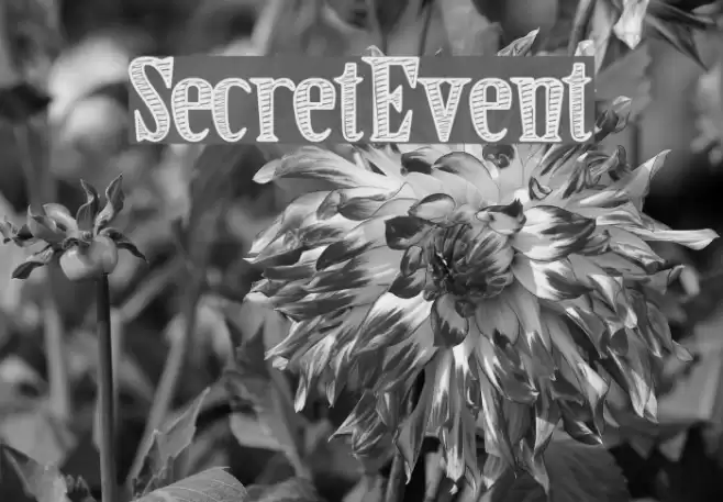 SecretEvent Font examples