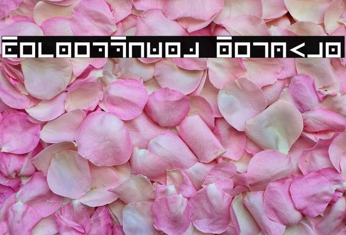 SecretThorn Regular Example 2