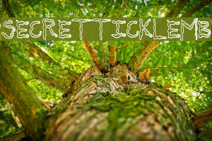 SecretTickleMB Font examples