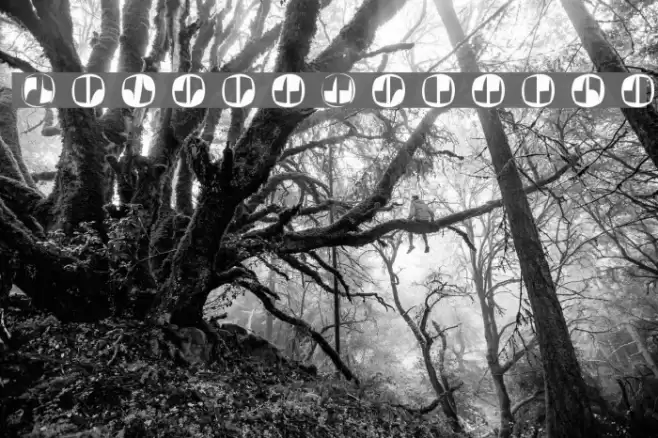 SecretWriting Font examples