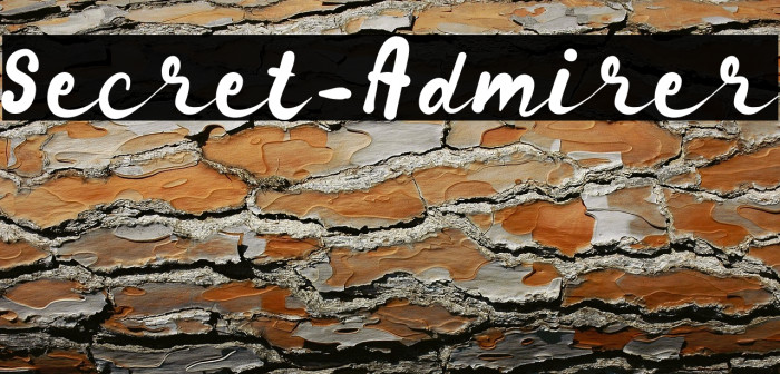 Secret_Admirer Example 1